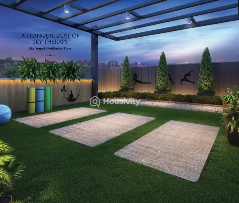 Platinum Pristine Image 4