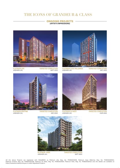 Platinum Avenue Brochure Image 12