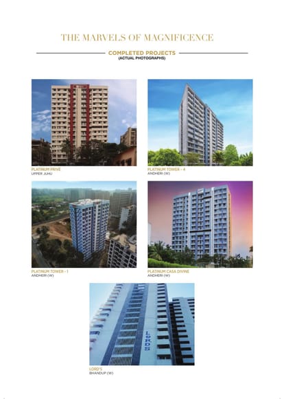 Platinum Avenue Brochure Image 11