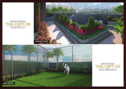 Damji Codename Gift Of Life Brochure Image 8