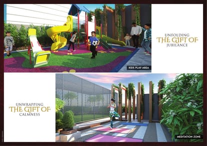 Damji Codename Gift Of Life Brochure Image 9