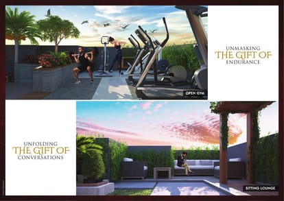 Damji Codename Gift Of Life Brochure Image 7