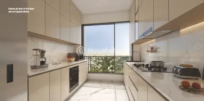 Kabra Embraze Image 9