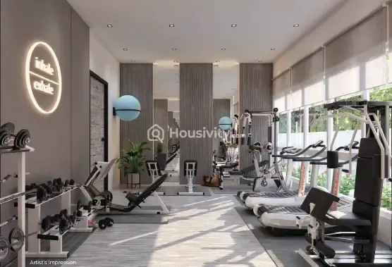 Modi Amizarna Image 4