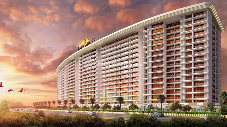 Palm Amore Thumbnail