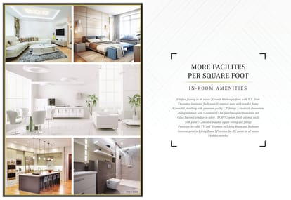 Gami Asters Brochure Image 5