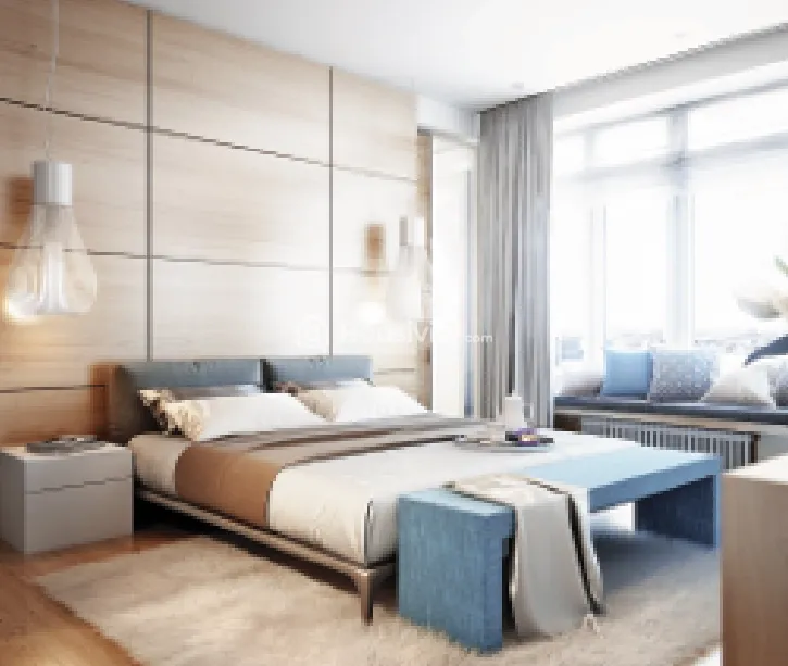 Gami Asters Image 11