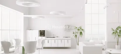 Gami Asters Image 10