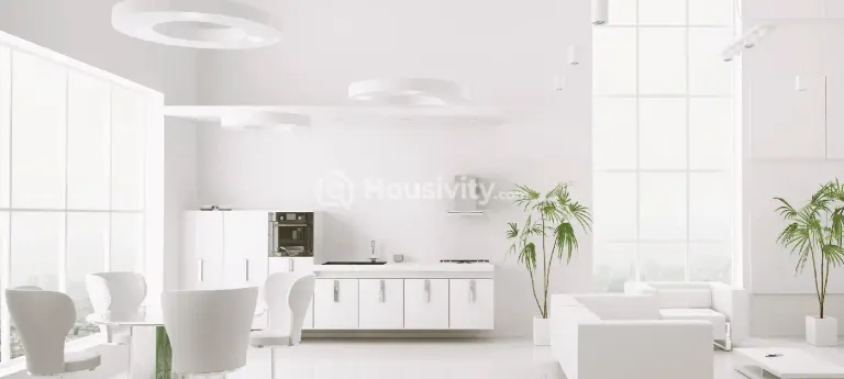 Gami Asters Image 10