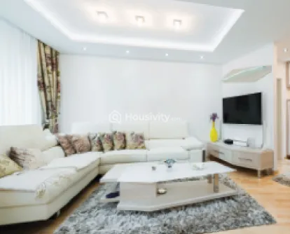 Gami Asters Image 12