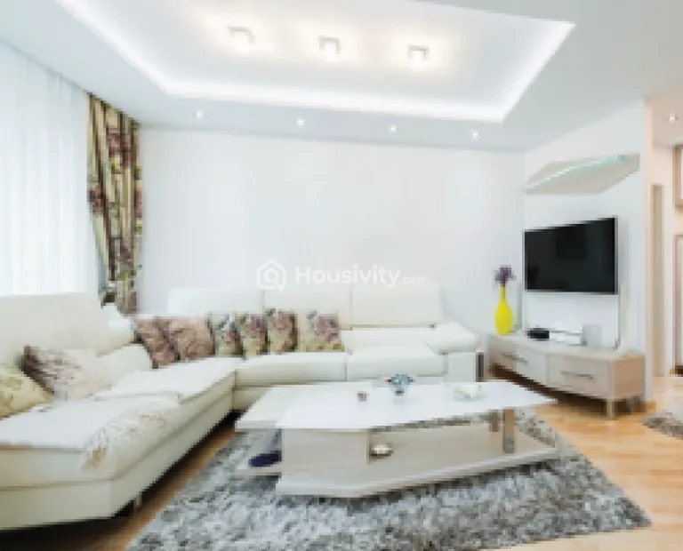 Gami Asters Image 12