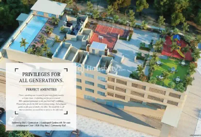 Gami Asters Image 13