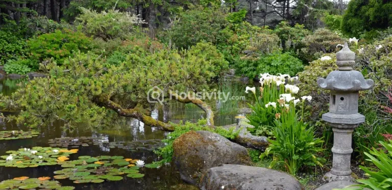 Kashish Iris Image 3