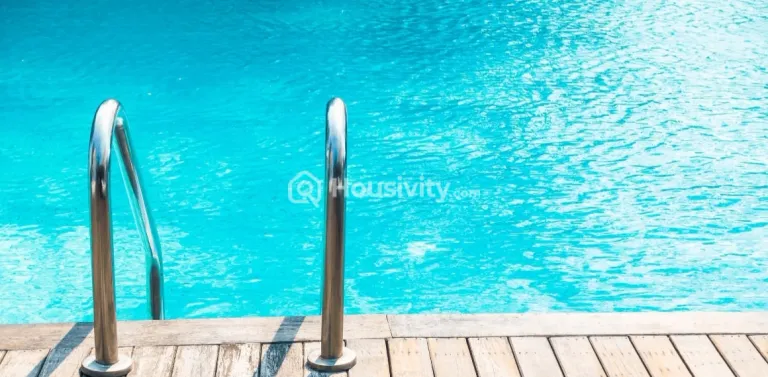 Kashish Iris Image 7