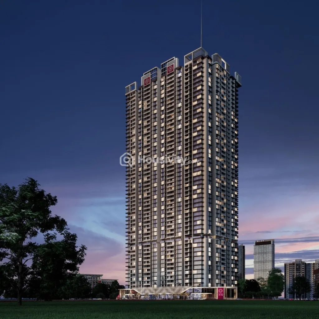 Kashish Iris Image 1