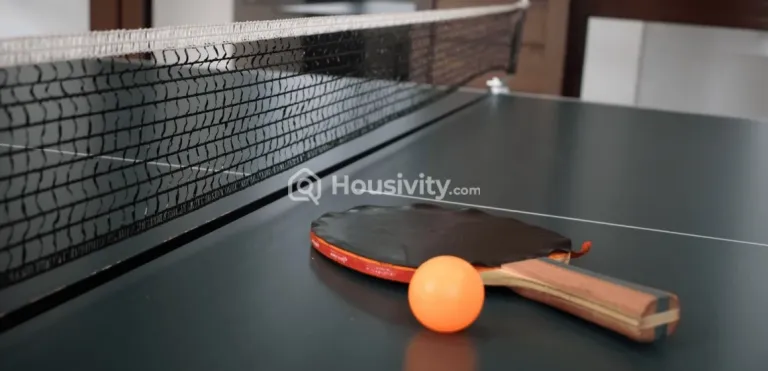 Kashish Iris Image 10