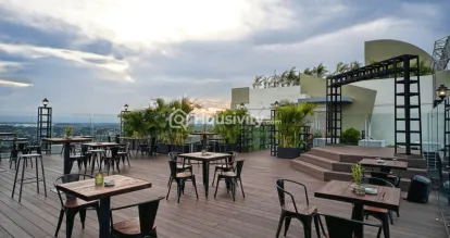 Kashish Iris Image 13