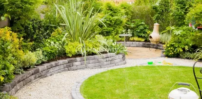 Kashish Iris Image 8