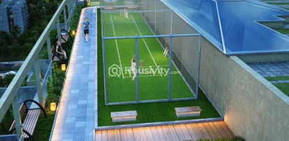 Kashish Iris Image 6