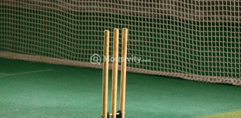 Kashish Iris Image 11