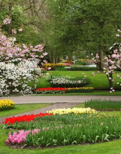 Samrin Ashwamedh Blue Berry Image 4