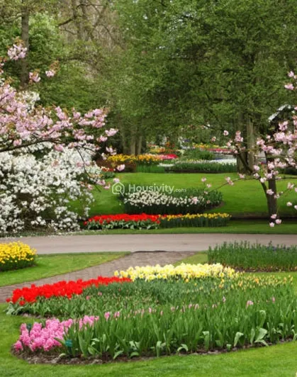 Samrin Ashwamedh Blue Berry Image 4