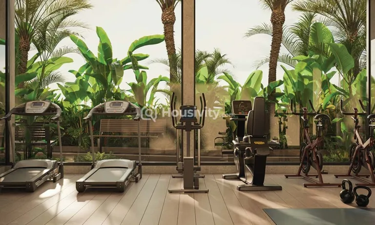 Mehta Legend 1978 Image 6