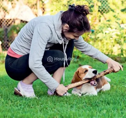 Kumar Palmcrest Image 3