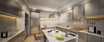 Kumar Shiloh Image 6