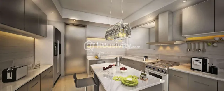 Kumar Shiloh Image 6