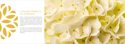 Paranjape Opulus Brochure Image 2