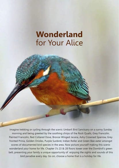 Balaji Estate C3 Brochure Image 17