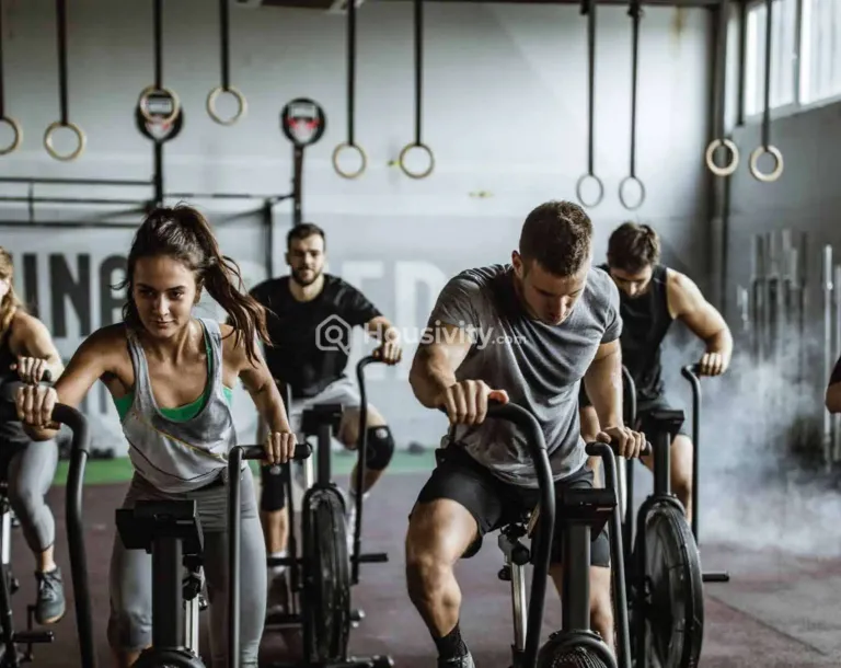 Metro Regalia Image 2