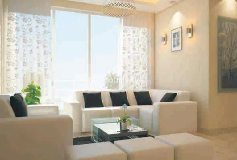 Mangeshi Tulip Image 6