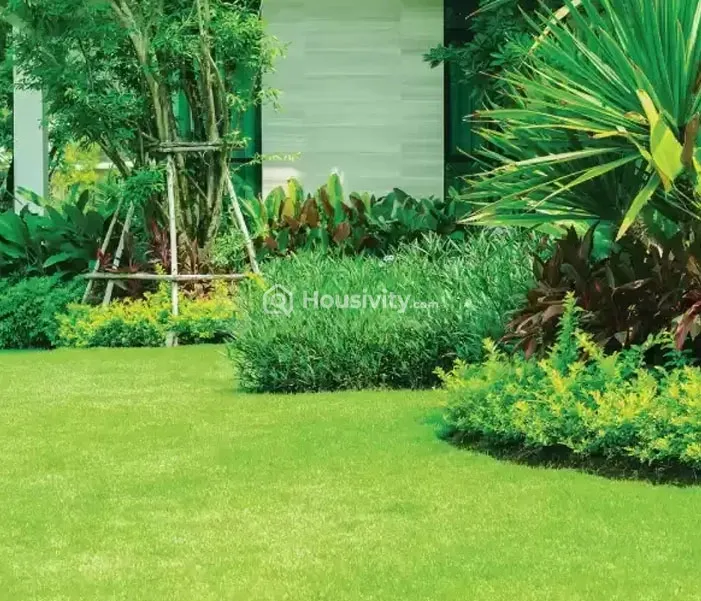 Mangeshi Sohan Image 9