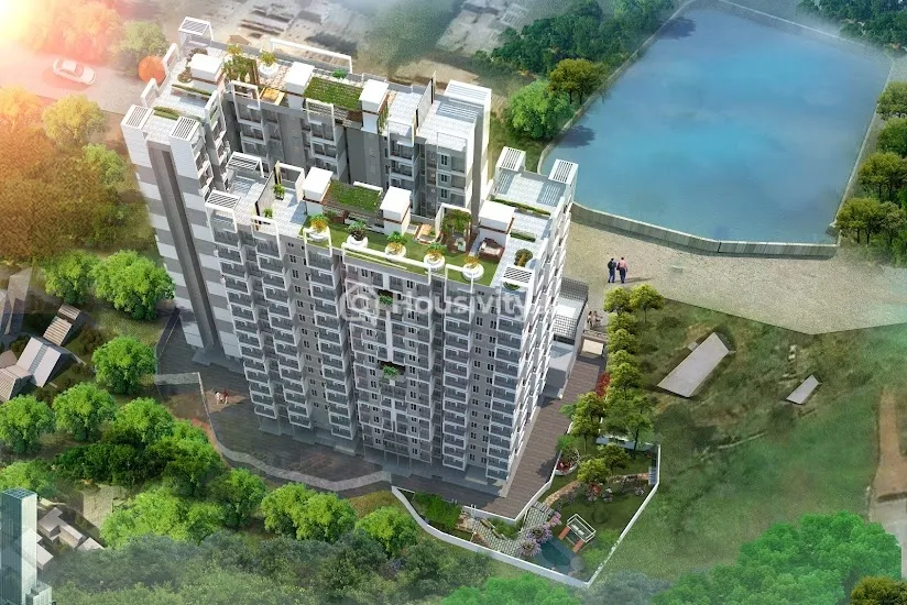 Yogi Belleza Image 1