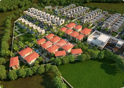 Holistic Trulife Image 1