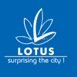 Lotus Group Logo