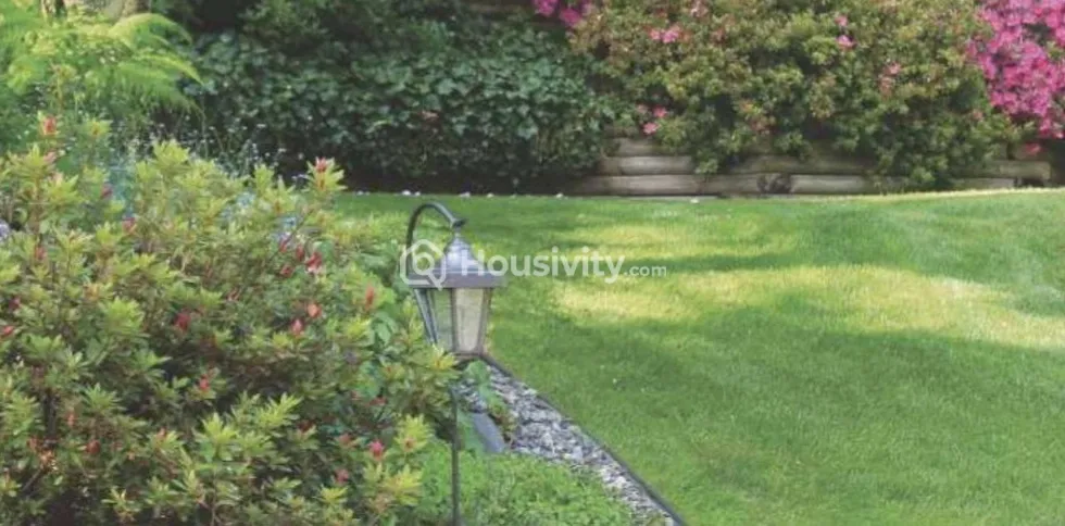 Arihant 4 Anaika Image 3