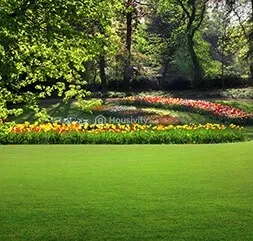 Arihant 4 Anaika Image 4