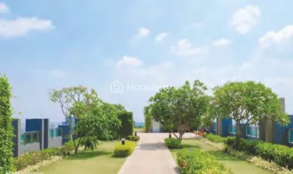 Sugee Akanksha Image 2