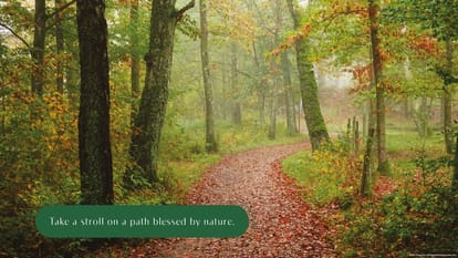 Elixir Reserve Brochure Image 6