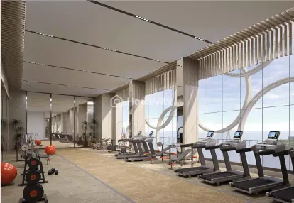 Island Cove Image 16