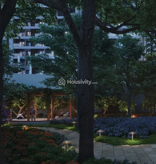 Nyati Esteban II Image 3