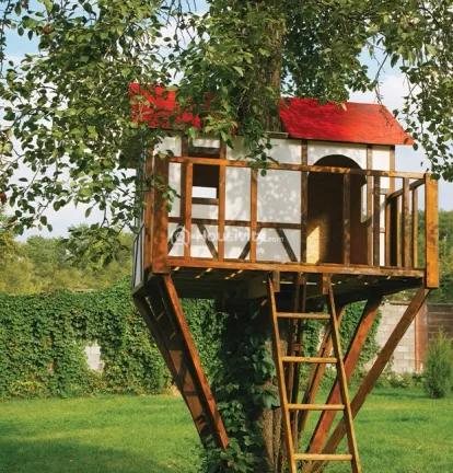 Nyati Esteban II Image 6