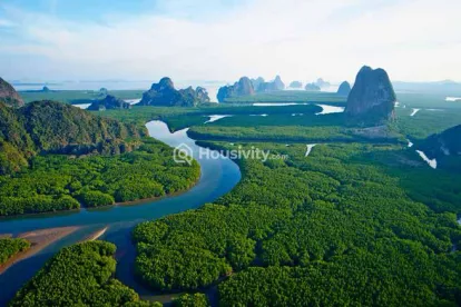 Delta New Palm Beach Image 5