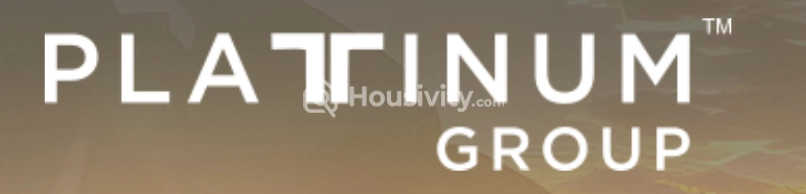 Platinum Group Logo