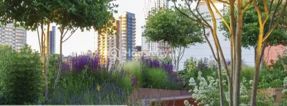 Shraddha Priva Image 2