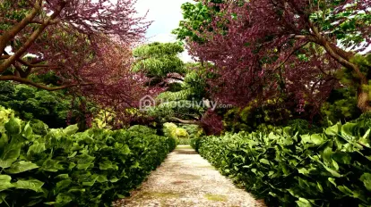 Shraddha Paradise Image 5