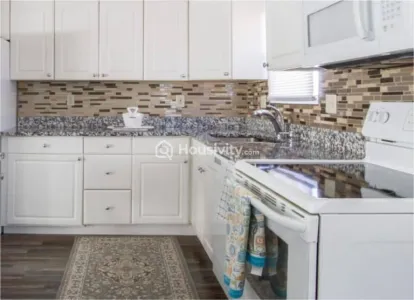 Shraddha Classic Image 8